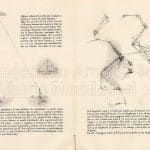 lavori intorno all’opera omnia di Leonardo da Vinci