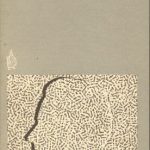 Havel, Largo desolato copertina